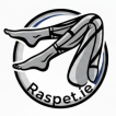 Raspet.ie